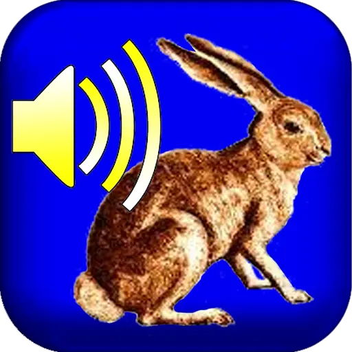 Cont kinda vol1 512x512.png