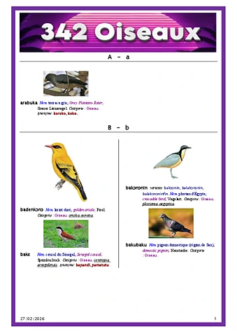 Bambara Oiseaux.pdf